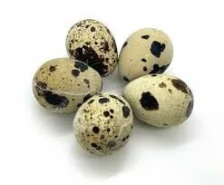 Quail Eggs
