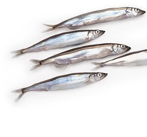 1lb Capelin Frozen Separately