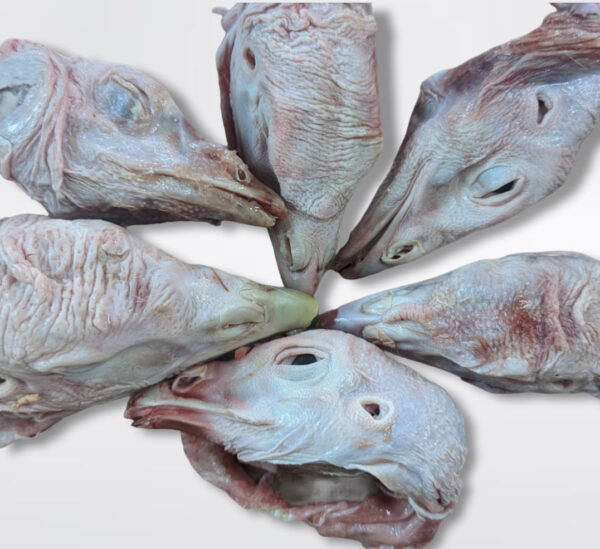 Turkey Heads